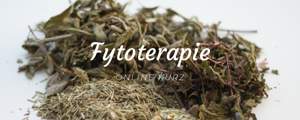 fytoterapie-online-kurz